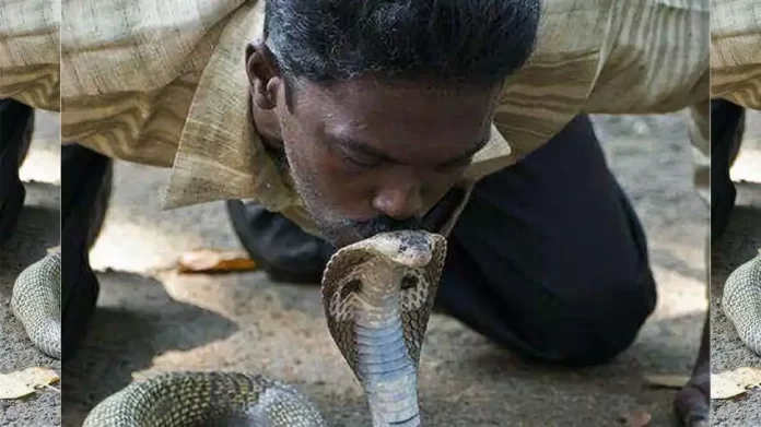 Snake Suresh