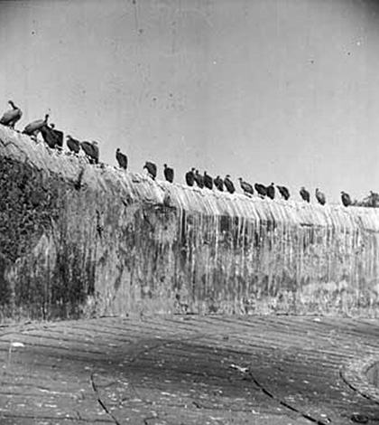 Tower of silence in parsee